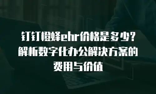 钉钉橙蜂ehr价格是多少？解析数字化办公解决方案的费用与价值