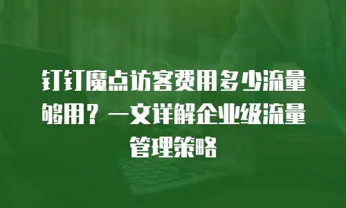 钉钉魔点访客费用多少流量够用？一文详解企业级流量管理策略