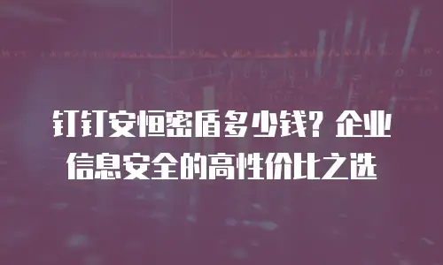 钉钉安恒密盾多少钱？企业信息安全的高性价比之选