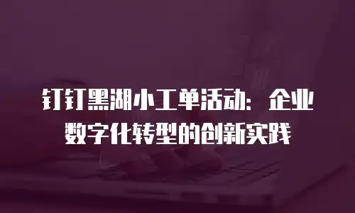 钉钉黑湖小工单活动：企业数字化转型的创新实践