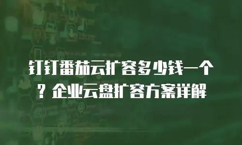 钉钉番茄云扩容多少钱一个？企业云盘扩容方案详解
