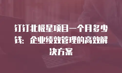 钉钉北极星项目一个月多少钱：企业绩效管理的高效解决方案