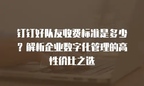 钉钉好队友收费标准是多少？解析企业数字化管理的高性价比之选