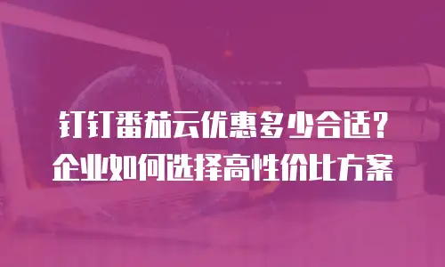钉钉番茄云优惠多少合适？企业如何选择高性价比方案