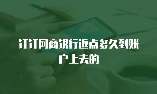 钉钉网商银行返点多久到账户上去的