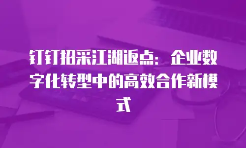 钉钉招采江湖返点：企业数字化转型中的高效合作新模式