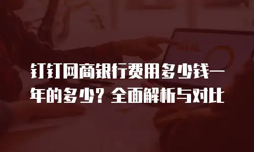 钉钉网商银行费用多少钱一年的多少？全面解析与对比