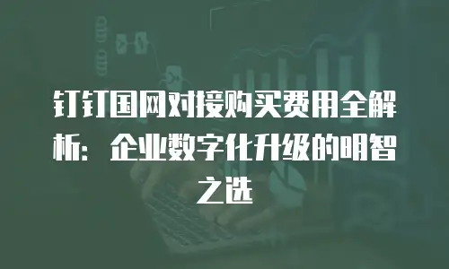 钉钉国网对接购买费用全解析：企业数字化升级的明智之选