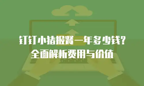 钉钉小猪报餐一年多少钱？全面解析费用与价值