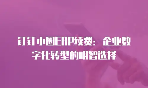 钉钉小圈ERP续费：企业数字化转型的明智选择