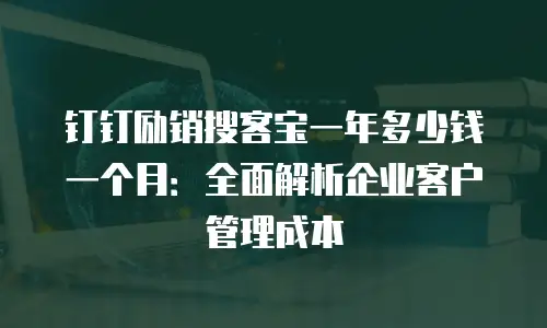 钉钉励销搜客宝一年多少钱一个月：全面解析企业客户管理成本