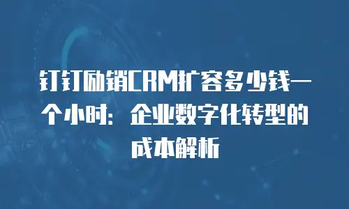 钉钉励销CRM扩容多少钱一个小时：企业数字化转型的成本解析
