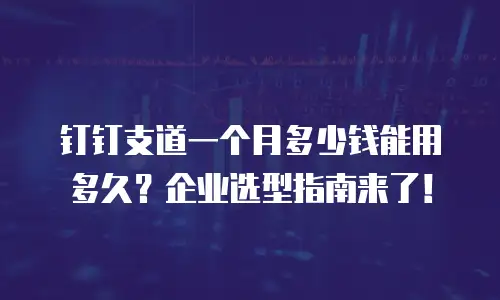 钉钉支道一个月多少钱能用多久？企业选型指南来了！