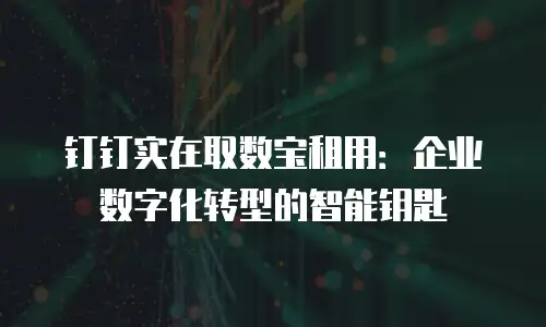 钉钉实在取数宝租用：企业数字化转型的智能钥匙