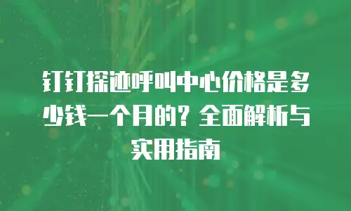 钉钉探迹呼叫中心价格是多少钱一个月的？全面解析与实用指南