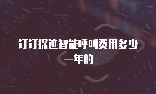 钉钉探迹智能呼叫费用多少一年的