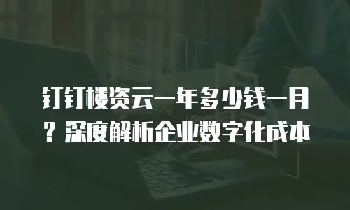 钉钉楼资云一年多少钱一月？深度解析企业数字化成本