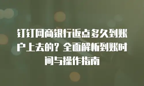 钉钉网商银行返点多久到账户上去的？全面解析到账时间与操作指南