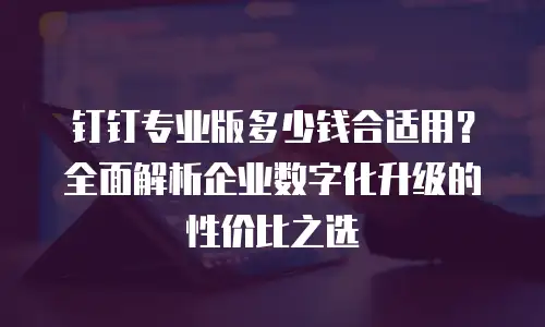 钉钉专业版多少钱合适用？全面解析企业数字化升级的性价比之选