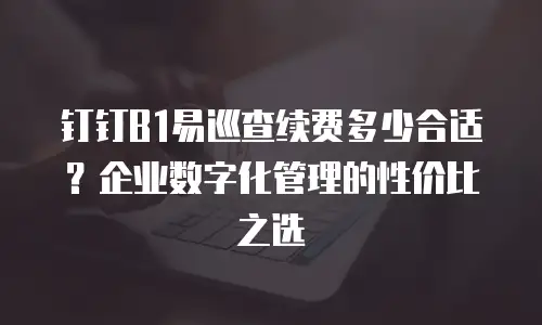 钉钉B1易巡查续费多少合适？企业数字化管理的性价比之选