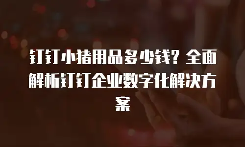 钉钉小猪用品多少钱？全面解析钉钉企业数字化解决方案