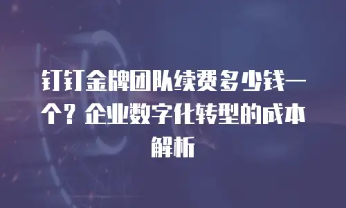 钉钉金牌团队续费多少钱一个？企业数字化转型的成本解析