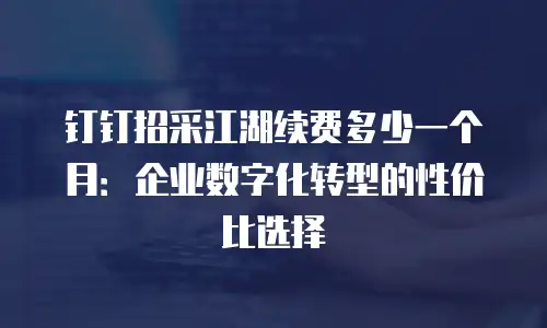 钉钉招采江湖续费多少一个月：企业数字化转型的性价比选择