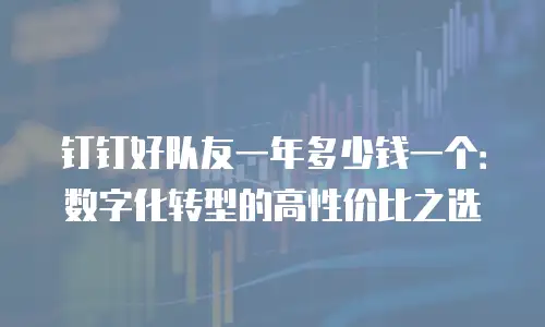钉钉好队友一年多少钱一个：数字化转型的高性价比之选