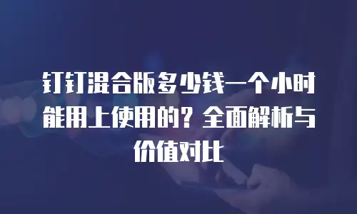 钉钉混合版多少钱一个小时能用上使用的？全面解析与价值对比