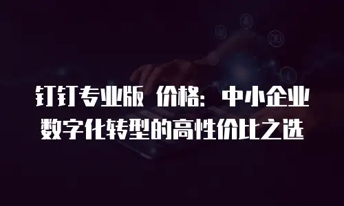 钉钉专业版 价格：中小企业数字化转型的高性价比之选
