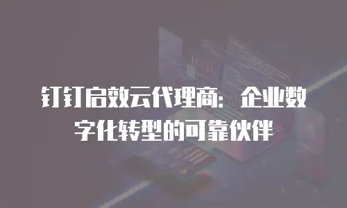 钉钉启效云代理商：企业数字化转型的可靠伙伴