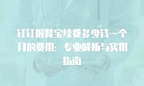 钉钉报餐宝续费多少钱一个月的费用：专业解析与实用指南
