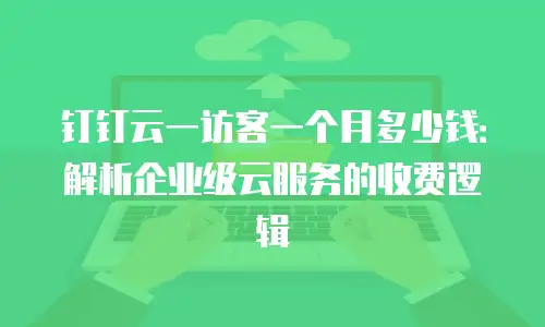 钉钉云一访客一个月多少钱：解析企业级云服务的收费逻辑