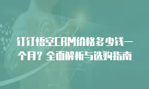 钉钉悟空CRM价格多少钱一个月？全面解析与选购指南