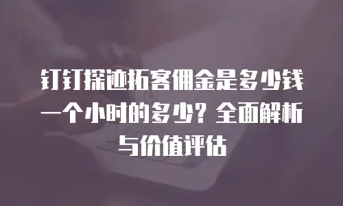 钉钉探迹拓客佣金是多少钱一个小时的多少？全面解析与价值评估