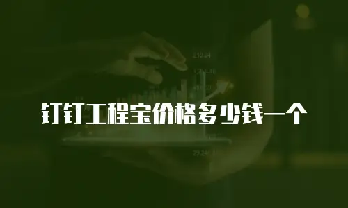 钉钉工程宝价格多少钱一个