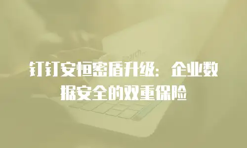 钉钉安恒密盾升级：企业数据安全的双重保险