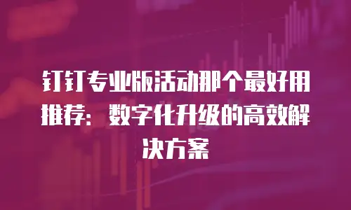 钉钉专业版活动那个最好用推荐：数字化升级的高效解决方案