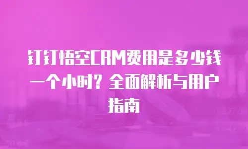 钉钉悟空CRM费用是多少钱一个小时？全面解析与用户指南