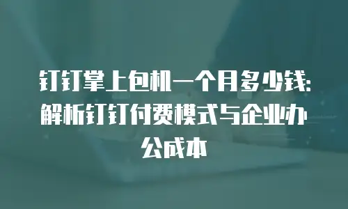 钉钉掌上包机一个月多少钱：解析钉钉付费模式与企业办公成本