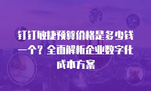 钉钉敏捷预算价格是多少钱一个？全面解析企业数字化成本方案