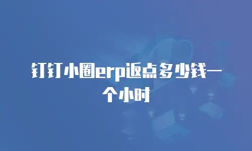 钉钉小圈erp返点多少钱一个小时