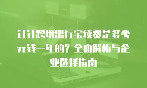 钉钉跨境出行宝续费是多少元钱一年的？全面解析与企业选择指南