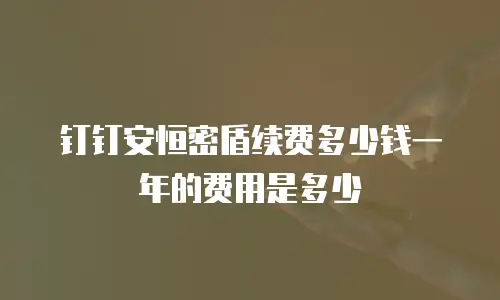 钉钉安恒密盾续费多少钱一年的费用是多少
