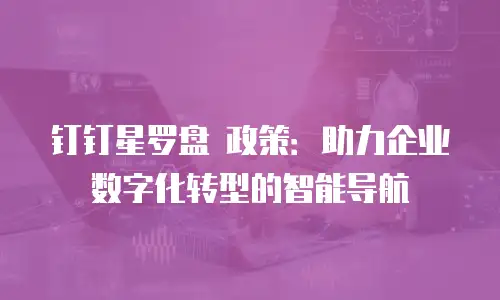 钉钉星罗盘 政策：助力企业数字化转型的智能导航
