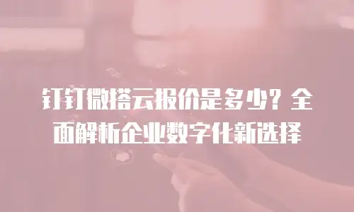 钉钉微搭云报价是多少？全面解析企业数字化新选择