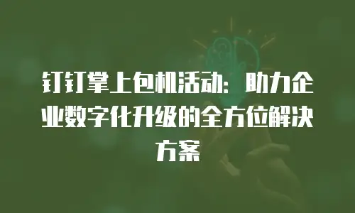 钉钉掌上包机活动：助力企业数字化升级的全方位解决方案