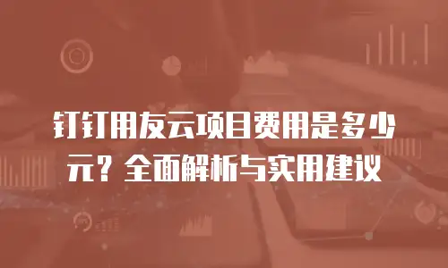 钉钉用友云项目费用是多少元？全面解析与实用建议