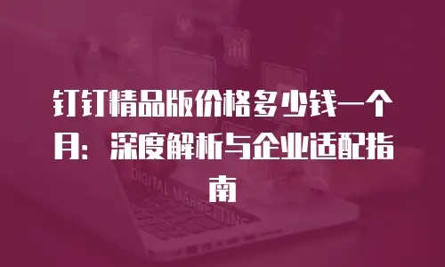 钉钉精品版价格多少钱一个月：深度解析与企业适配指南