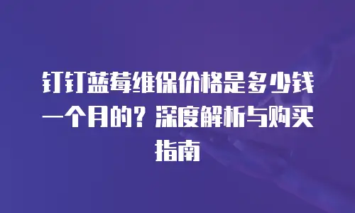 钉钉蓝莓维保价格是多少钱一个月的？深度解析与购买指南
